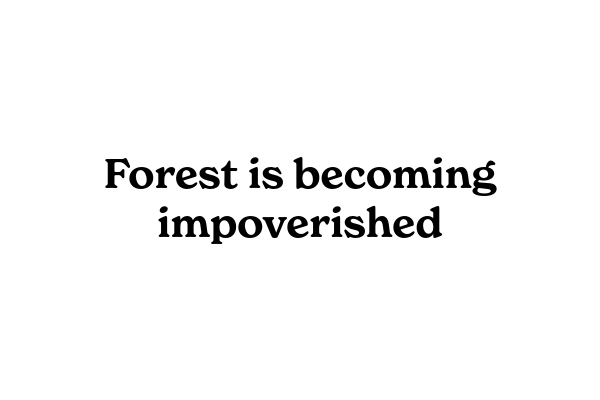 森が貧しくなっている