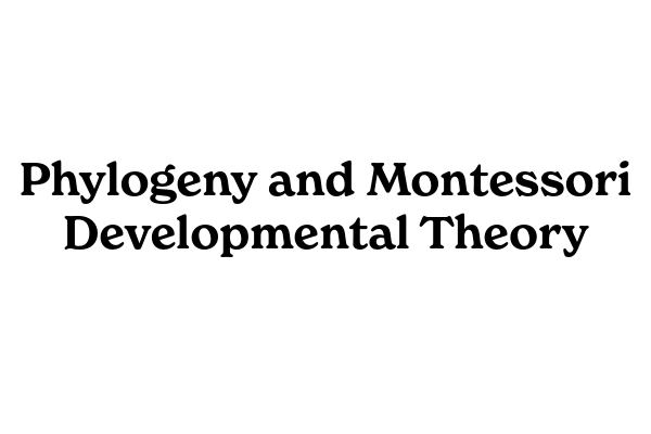 系統発生とモンテッソーリ発達理論